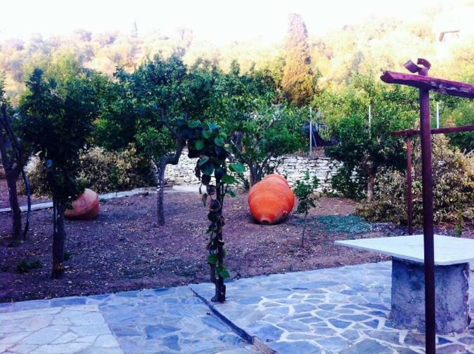 Villa Alexandra Paleo Trikeri Dış mekan fotoğraf